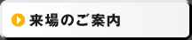 Τ